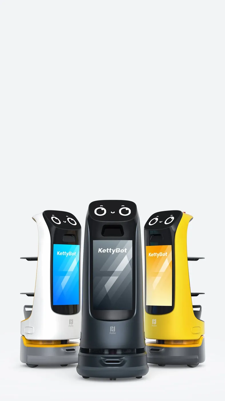 KettyBot Pro - imatge 2